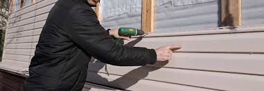 Best Custom Trim and Detailing for Siding  in Verona, MS